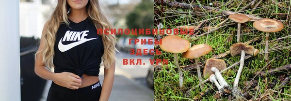 марки nbome Лабытнанги