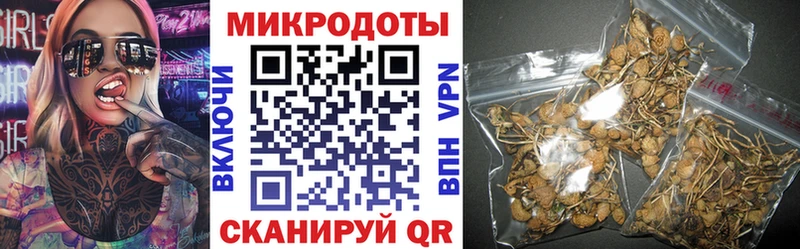 Купить где  Емва  Псилоцибиновые грибы мицелий 
